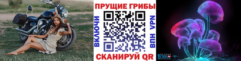 Псилоцибиновые грибы Cubensis  Владивосток 